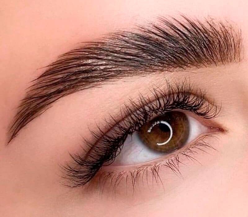 Basic Laminated Eyebrow course, E-Book