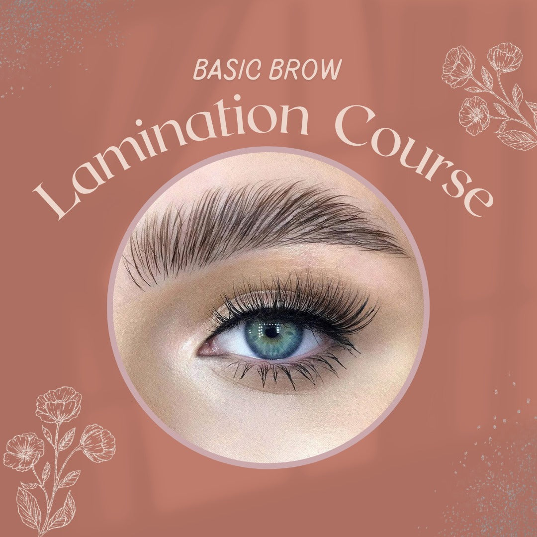Basic Laminated Eyebrow course, E-Book